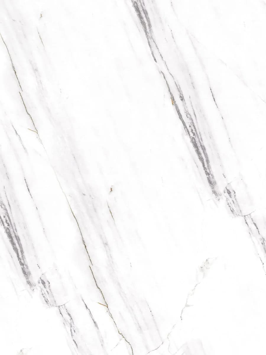 Ariston Polish (120×300)