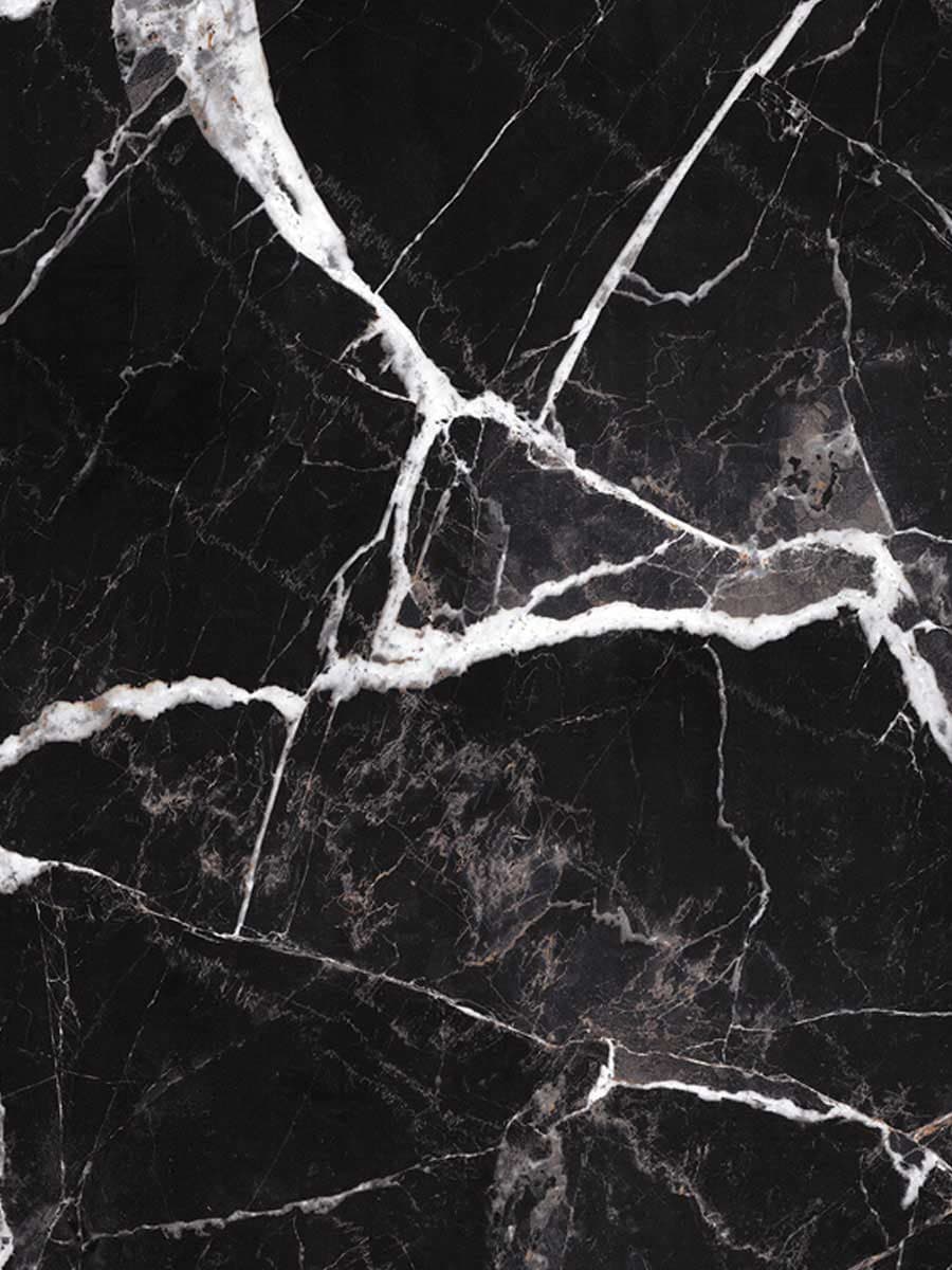 Calacatta Black Polish (80×160)