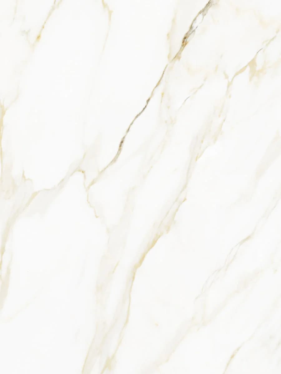 Calacatta Gold Matte (100×100)