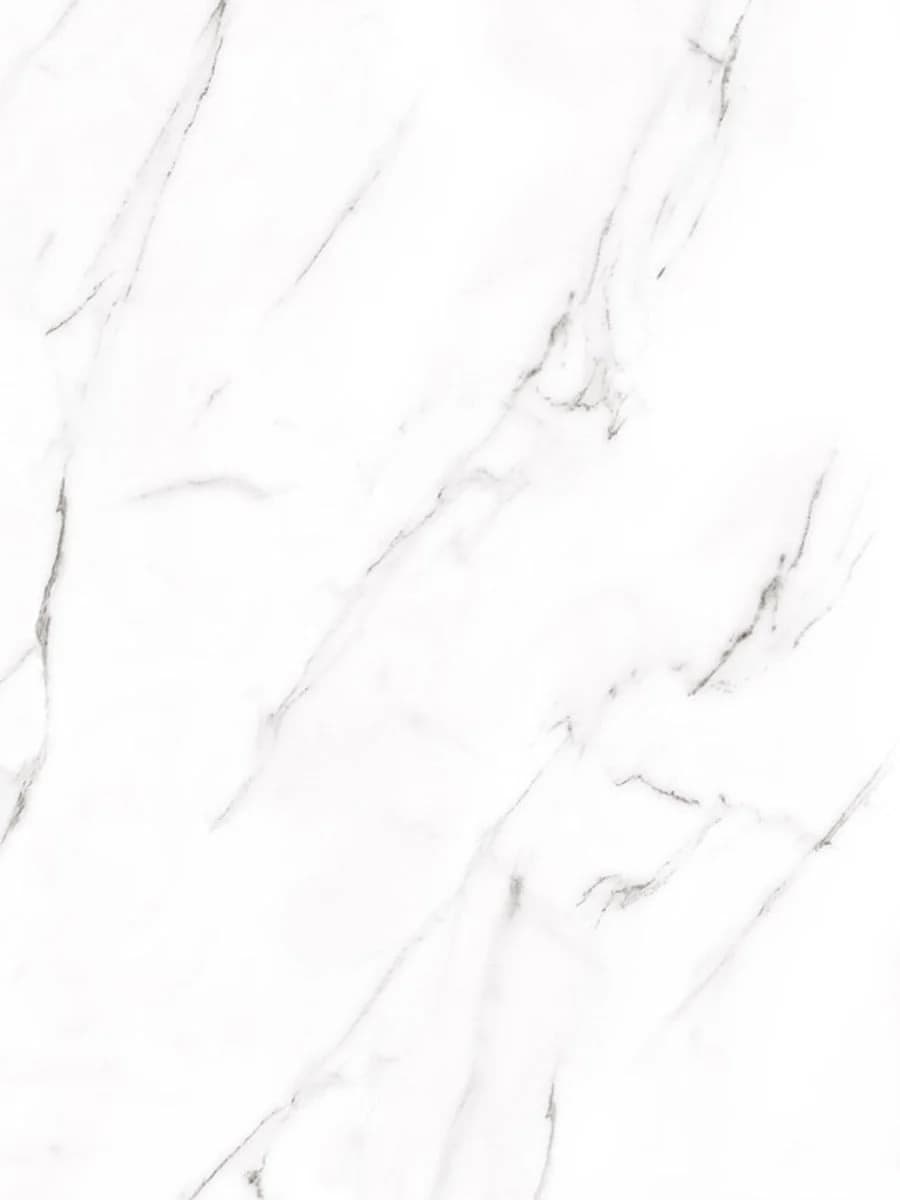 Carrara Matte (120×300)