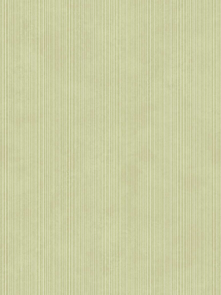 Concept Green Striped Matte (120×300)