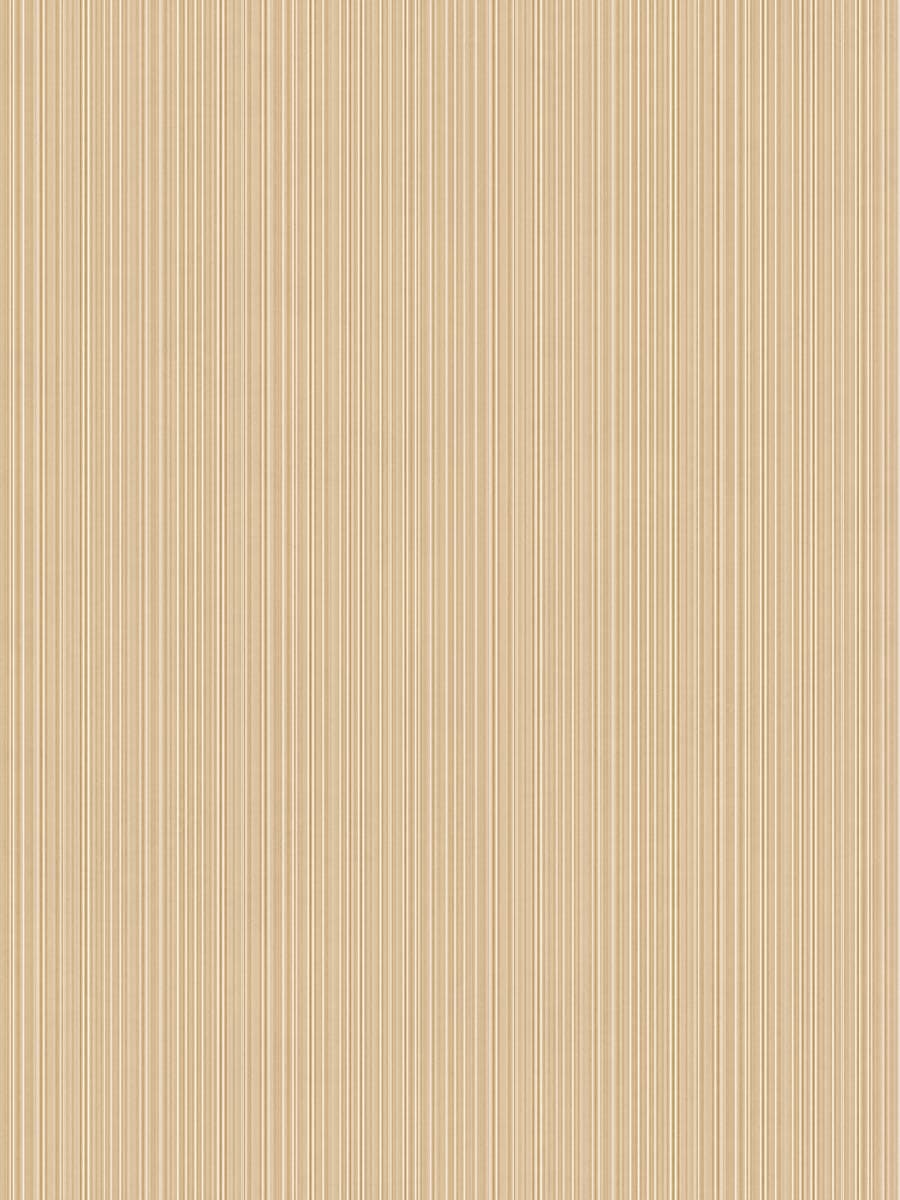 Concept Ivory Striped Matte (120×300)