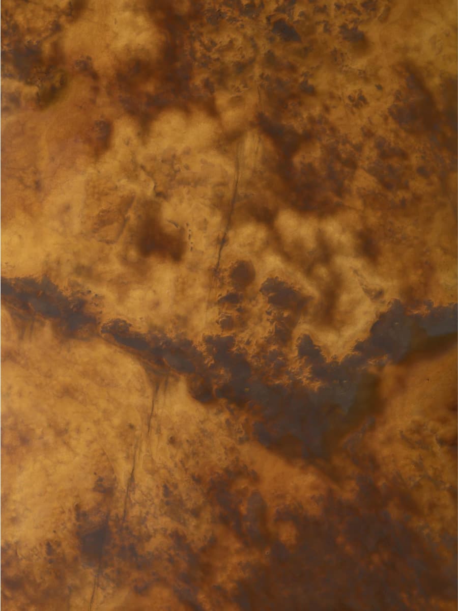 Mango Onyx