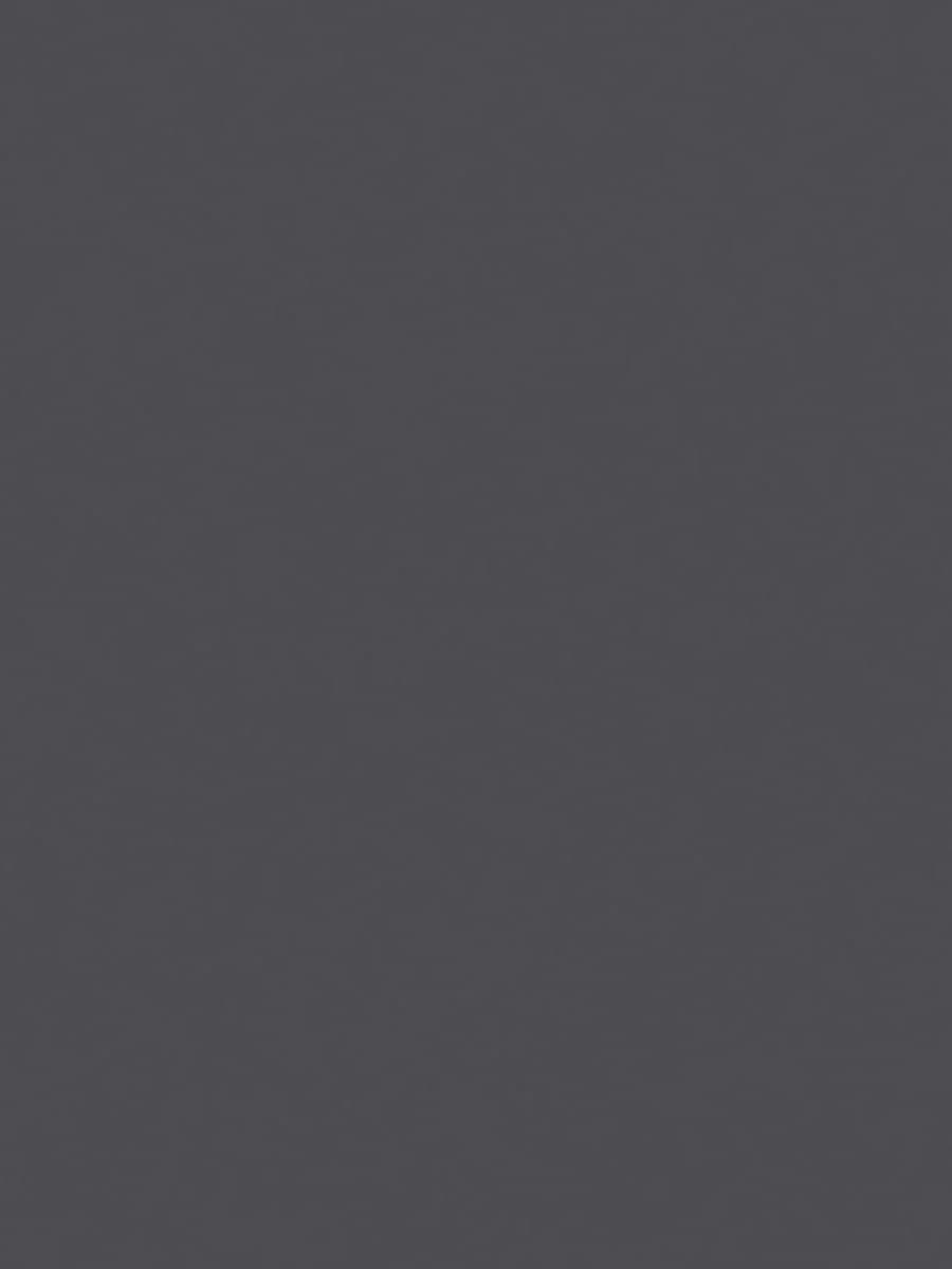 Monocolor Dark Gray Matte Color Body (80×160)