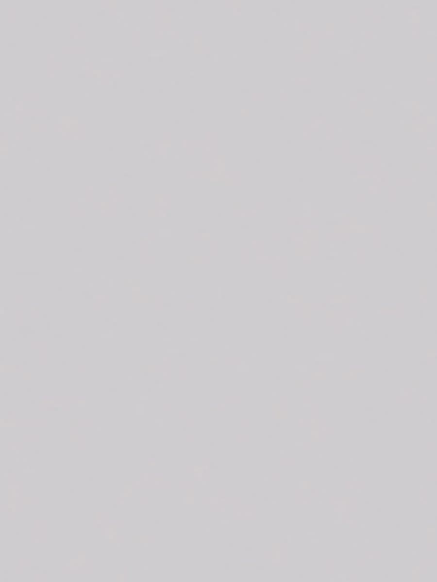 Monocolor Light Gray Matte Color Body (80×160)