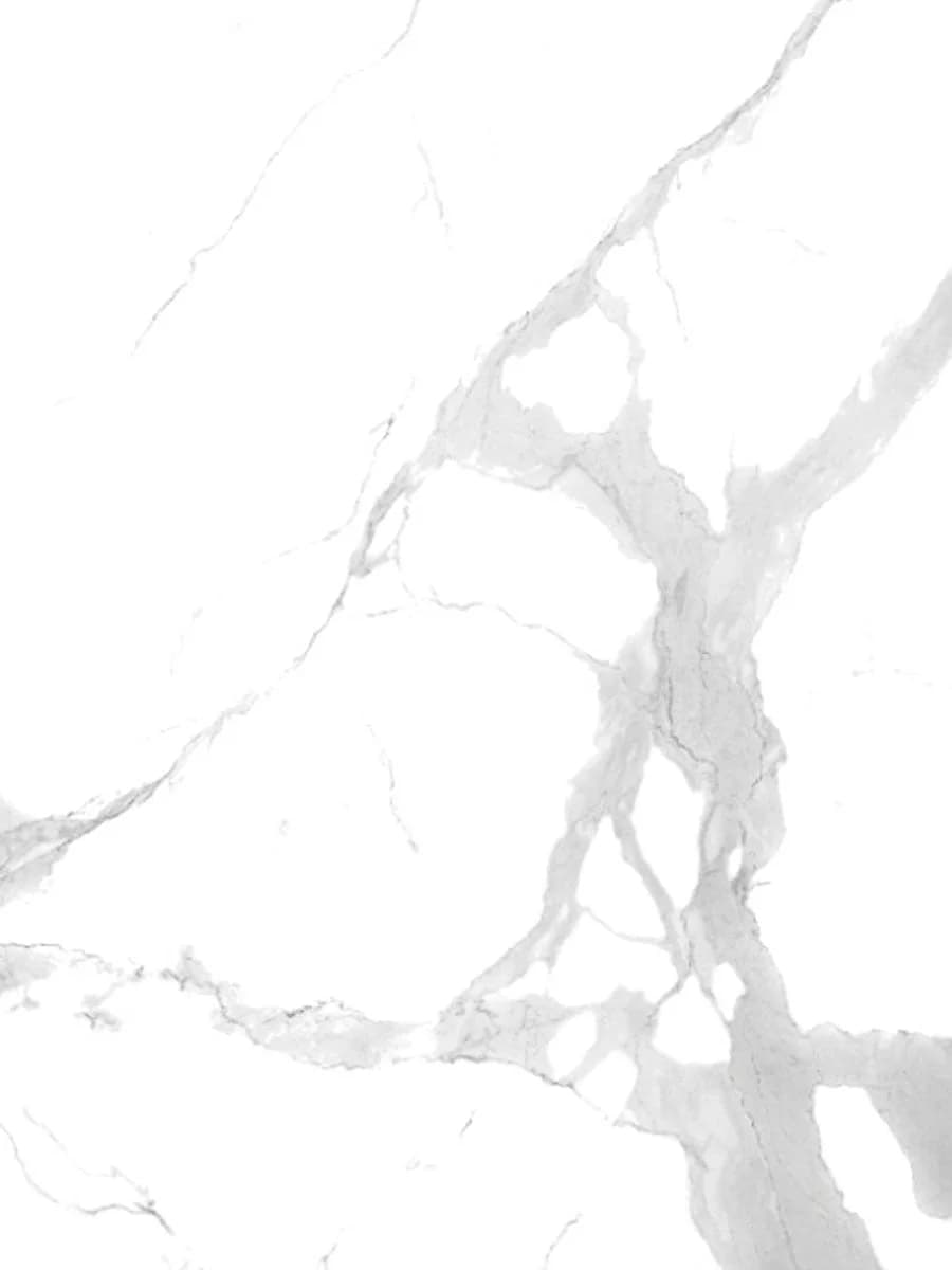 Statuario Matte (100×100)