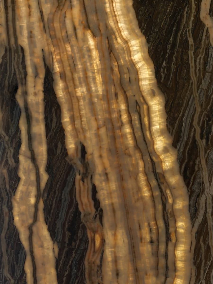 Tiger Traonyx
